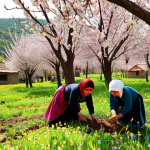**

A vibrant scene of a traditional Turkish village during springtime. Villagers are shown planting seeds in a field, guided by the wisdom of elders. Focus on the blossoming trees and the lush greenery. Use warm, natural lighting to emphasize the life and renewal of the season. Incorporate elements of traditional Turkish clothing and tools. The overall style should be reminiscent of a detailed, realistic painting.

**